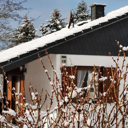 Bb19 Eifel-Ferienhaus Am Moseltal Mit Saunahaus Beuren  Exterior photo
